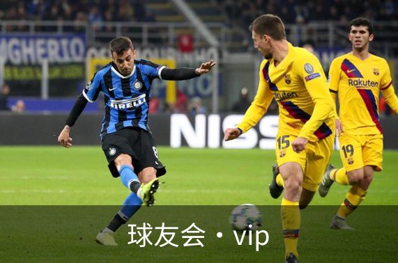 球友会·vip简介